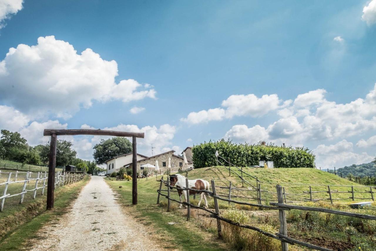 Agriturismo Goccia Di Luna Umbertide Eksteriør bilde