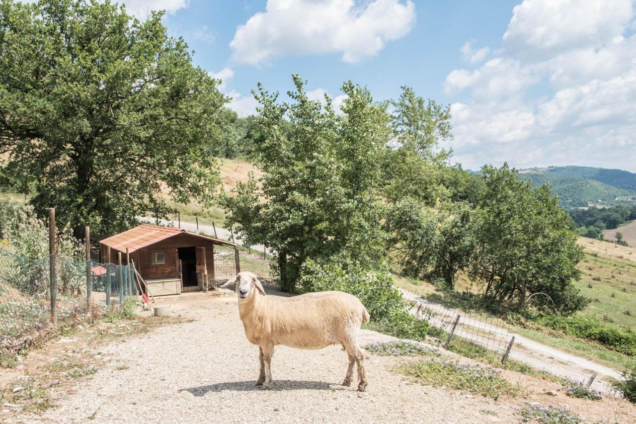 Agriturismo Goccia Di Luna Umbertide Eksteriør bilde